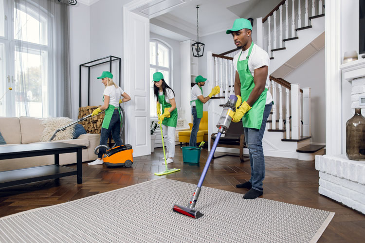 Cleaning Services